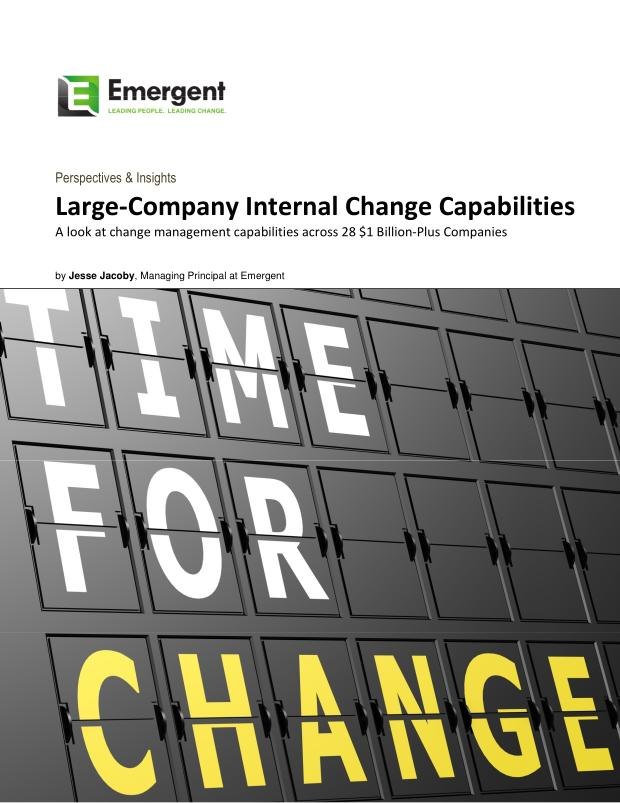 Cover of Large-Company Internal Change Capabilities